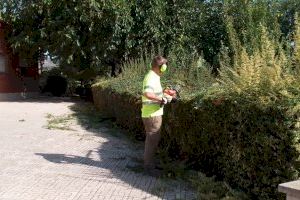 Parcs i Jardins d’Ontinyent executa tasques de manteniment en 85.000 m2 de zones verdes escolars amb motiu de l’inici de curs Parcs i Jardins d’Ontinyent executa tasques de manteniment en 85.000 m2 de zones verdes escolars amb motiu de l’inici de curs