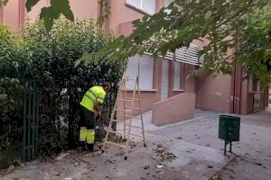 Parcs i Jardins d’Ontinyent executa tasques de manteniment en 85.000 m2 de zones verdes escolars amb motiu de l’inici de curs - (foto 3) Parcs i Jardins d’Ontinyent executa tasques de manteniment en 85.000 m2 de zones verdes escolars amb motiu de l’inici de curs - (foto 3)