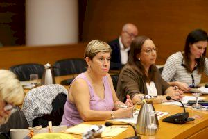 Cs afea a Tamarit su “propaganda demagógica” y su “nulo compromiso” para acabar con los barracones