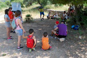 Castelló organiza una jornada de voluntariado ambiental para poner en valor el ecosistema de la playa del Serradal Castelló organiza una jornada de voluntariado ambiental para poner en valor el ecosistema de la playa del Serradal