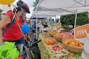 La Ciclovía del litoral de Alicante vuelve a celebrarse en la Semana de la Movilidad - (foto 2) La Ciclovía del litoral de Alicante vuelve a celebrarse en la Semana de la Movilidad - (foto 2)