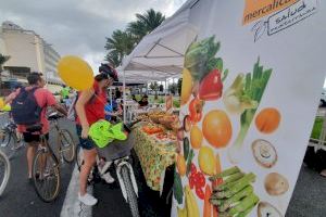 La Ciclovía del litoral de Alicante vuelve a celebrarse en la Semana de la Movilidad - (foto 5) La Ciclovía del litoral de Alicante vuelve a celebrarse en la Semana de la Movilidad - (foto 5)