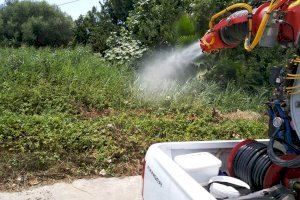 Se intensifica la lucha contra los mosquitos en la costa de Castellón: Este es el calendario de fumigaciones