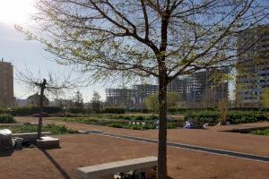 El Consell Agrari de València destaca la ocupación de más del 95% de las parcelas agrarias de Sociópolis El Consell Agrari de València destaca la ocupación de más del 95% de las parcelas agrarias de Sociópolis