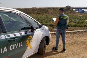 Denuncien el robatori de milers d'euros de plaguicides en un hort de Nules