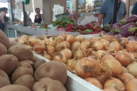 Casi la mitad de nuevos contratos de trabajo firmados en agosto en Alboraya son indefinidos