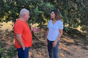 El PPCS urgeix contractar guardes rurals per a frenar l'ona de robatoris que la Guàrdia Civil reconeix "però que PSOE i Compromís neguen"