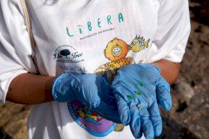 Buceadores voluntarios retiran hoy 2.800 kilos de residuos de los fondos marinos - (foto 3) Buceadores voluntarios retiran hoy 2.800 kilos de residuos de los fondos marinos - (foto 3)