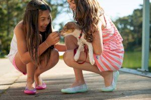 Les Corts aprueban poner en marcha un proyecto piloto de perros terapéuticos que acompañen a los niños y niñas que declaren en un juzgado Les Corts aprueban poner en marcha un proyecto piloto de perros terapéuticos que acompañen a los niños y niñas que declaren en un juzgado