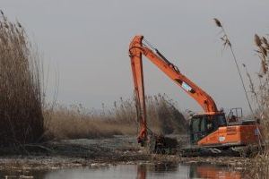 L'Ajuntament adjudica la major actuació de dragatge dels canals de desaigüe de l’Albufera des de la seua construcció - (foto 2)