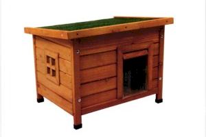 La concejalía de Protección Animal instalará casteras-refugio para mejorar la higiene y protección de las colonias felinas callejeras La concejalía de Protección Animal instalará casteras-refugio para mejorar la higiene y protección de las colonias felinas callejeras