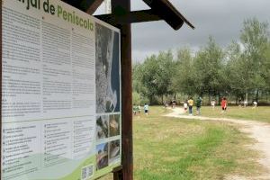 Más de 600 personas han pasado por los talleres ambientales de Peñíscola Natural - (foto 2) Más de 600 personas han pasado por los talleres ambientales de Peñíscola Natural - (foto 2)