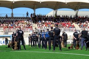 120 agentes y 50 unidades caninas se forman en el III Curso de Operativa Policial de unidades de Seguridad Ciudadana y K-9 de la Vila Joiosa - (foto 2) 120 agentes y 50 unidades caninas se forman en el III Curso de Operativa Policial de unidades de Seguridad Ciudadana y K-9 de la Vila Joiosa - (foto 2)