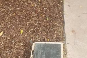 Alzira sufre una nueva oleada de actos vandálicos - (foto 4) Alzira sufre una nueva oleada de actos vandálicos - (foto 4)