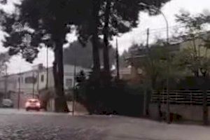 El Partido Popular de Paterna pide la limpieza de los barrancos e imbornales ante la amenaza de gota fría - (foto 2) El Partido Popular de Paterna pide la limpieza de los barrancos e imbornales ante la amenaza de gota fría - (foto 2)