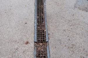 El Partido Popular de Paterna pide la limpieza de los barrancos e imbornales ante la amenaza de gota fría - (foto 3) El Partido Popular de Paterna pide la limpieza de los barrancos e imbornales ante la amenaza de gota fría - (foto 3)