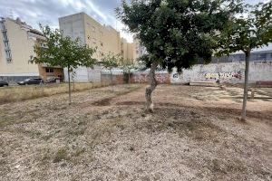 El Ajuntament de Vinaròs mejora los parques caninos del municipio - (foto 3)