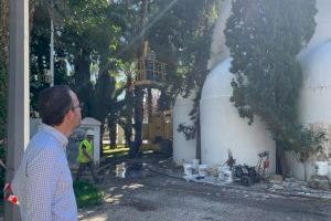Elche sigue mejorando la imagen del Parque Municipal con actuaciones en el Templete, el ‘Museo del Huevo’ y en ‘Estanque de los patos’ - (foto 2)