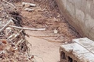 El Ayuntamiento de l’Alfàs trabaja en la limpieza y puesta a punto de barrancos El Ayuntamiento de l’Alfàs trabaja en la limpieza y puesta a punto de barrancos