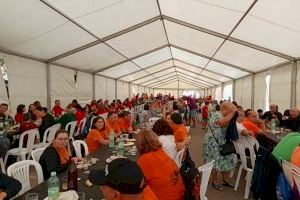 Los Gegants i Cabuts de toda la Comunitat Valenciana invaden Daimús - (foto 10)