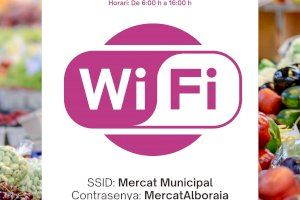 Habilitada la red WiFi gratuita de última generación en el Mercado Municipal de Alboraya - (foto 2) Habilitada la red WiFi gratuita de última generación en el Mercado Municipal de Alboraya - (foto 2)