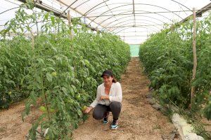 La joven Clara Guilló recibe el Premio Agricultor del Año en la Nit del Camp d’Elx