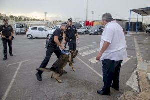 La Policía Local de Santa Pola incorpora una unidad canina para reforzar la seguridad - (foto 3) La Policía Local de Santa Pola incorpora una unidad canina para reforzar la seguridad - (foto 3)