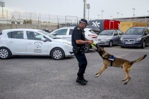 La Policía Local de Santa Pola incorpora una unidad canina para reforzar la seguridad - (foto 4) La Policía Local de Santa Pola incorpora una unidad canina para reforzar la seguridad - (foto 4)