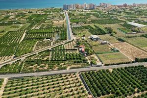 La Diputació inicia les obres per a millorar la seguretat en l'accés nord a la platja de Tavernes - (foto 2)