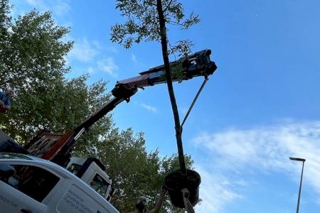 Alaquàs planta 80 nuevas especies en diferentes calles