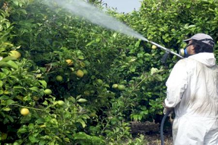 La concejalía de Agricultura y ASAJA organizan un curso fitosanitario de nivel básico en la Vila Joiosa