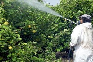 La concejalía de Agricultura y ASAJA organizan un curso fitosanitario de nivel básico en la Vila Joiosa