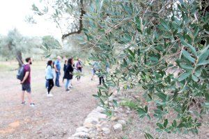 Un “famtrip” para mostrar la oferta turística de Maestrat, ànima interior y dinamizar el interior norte de Castellón - (foto 5)