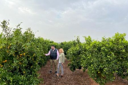 El Ayuntamiento de Bétera bonificará en un 95% el IBI rústico de las parcelas en producción