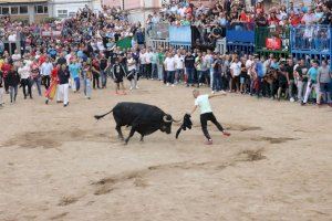 Imatge dels festejos taurins de dissabte