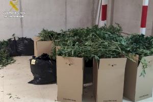 Nueve detenidos tras desmantelar un grupo criminal dedicado al tráfico de droga internacional desde Alicante - (foto 9) Nueve detenidos tras desmantelar un grupo criminal dedicado al tráfico de droga internacional desde Alicante - (foto 9)