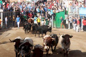 Tres corneados a Onda obliguen a suspendre els actes taurins fins a la vesprada
