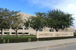 Un total de 37 investigadores de la UMH se encuentran entre los más citados del mundo, según un estudio de la editorial académica Elsevier Un total de 37 investigadores de la UMH se encuentran entre los más citados del mundo, según un estudio de la editorial académica Elsevier