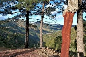 Els bombers rescaten a 3 senderistes perduts a Alfondeguilla