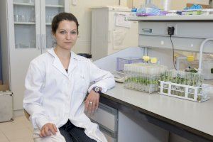 Sara Izquierdo Zandalinas ha sido galardonada en la primera edición de los Premios de la Ciencia Valenciana Santiago Grisolía Sara Izquierdo Zandalinas ha sido galardonada en la primera edición de los Premios de la Ciencia Valenciana Santiago Grisolía
