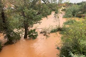 L'Ajuntament de Manises demana la declaració de zona catastròfica