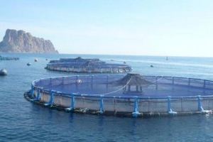 Calp basará el recurso contra la piscifactoría  en el impacto paisajístico y en un nuevo estudio de las corrientes marinas