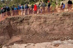 Primera visita a les petjades de dinosaure del Mas de Romeu amb molta participació - (foto 2) Primera visita a les petjades de dinosaure del Mas de Romeu amb molta participació - (foto 2)