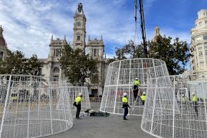 Compte enrere per al Nadal a València amb el muntatge de l'arbre a la plaça de l'Ajuntament - (foto 2)