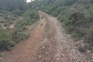 L'Ajuntament de Xert recupera infraestructures, camins i accessos afectats per les últimes pluges i continua treballant sense descans - (foto 2)