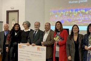 El catedràtic de la UA Nicolás Cuenca rep la beca d’investigació María Fernández Aguayo de l’Associació EsRetina - (foto 2) El catedràtic de la UA Nicolás Cuenca rep la beca d’investigació María Fernández Aguayo de l’Associació EsRetina - (foto 2)