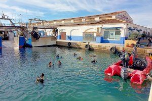 Pedro Duque se suma a la jornada de limpieza de los fondos marinos del Puerto de Calp - (foto 3)