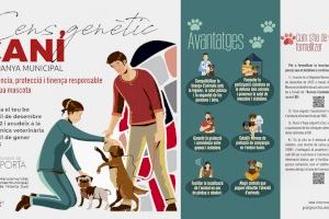 Empieza la recogida gratuita de ADN para el censo canino de Paiporta - (foto 2)