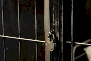 Ix de la presó el primer condemnat per violació a Alacant amb la llei del ‘sol sí que és sí’