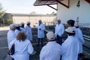 La Cooperativa La Viña es convertirà en Projecte d’Inversió Estratègica Sostenible - (foto 2)